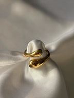 bague anneau